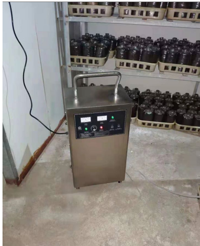 臭氧，臭氧消毒機食用菌的栽培應(yīng)用